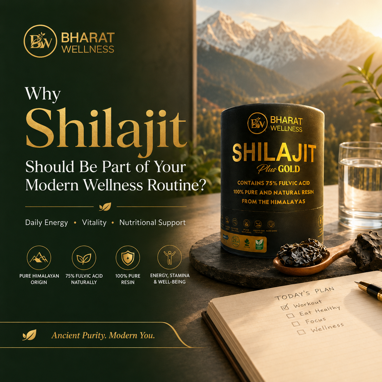 Why Shilajit Should Be Part of Your Modern Wellness Routine?