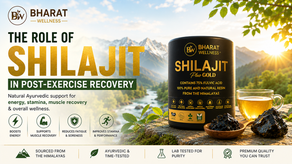 Shilajit for Post-Exercise Recovery | Benefits, Dosage & Energy Support