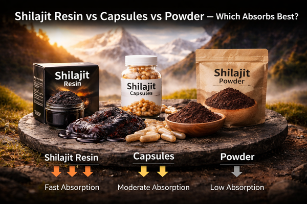 Shilajit Resin vs Capsules vs Powder — Which Absorbs Best?