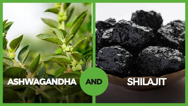 Why buy Ashwagandha & Shilajit together?