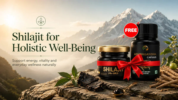 Shilajit for Holistic Well-Being