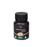 Midnight + Ashwagandha +  Turmeric- Pack Of 3 (30 Capsules)